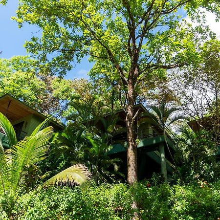 Arbol Verde Villas Ojochal Exterior photo